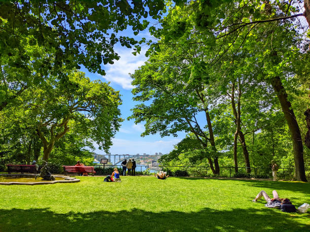 istock Green Crystal Gardens park Porto 1447672005