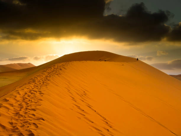istock Man walking in the Sossusvlei desert, Namibia 1447673434