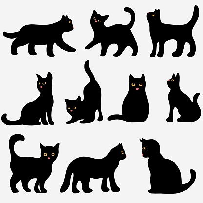 Doodle freehand sketch drawing of cat pose collection. Cute pet animal concept.