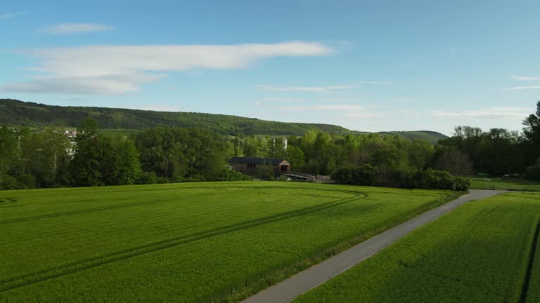 Drone flying over green summer fields