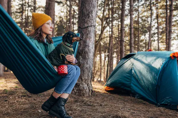 Millennial woman and her dachshund dog on a camping trip, enjoy a sunny autumn day sitting on a hammock