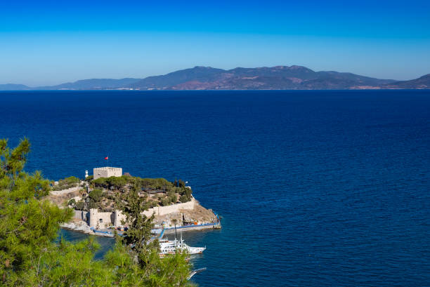istock Kusadasi bird island 1447692004