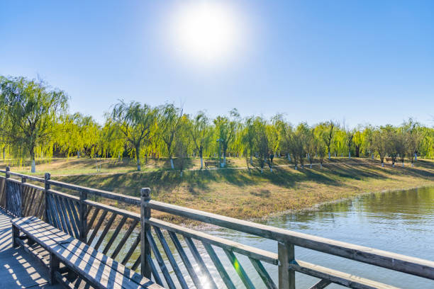 Autumn Park landscape