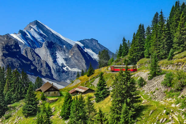 the schynige platte railway is a mountain railway in the bernese highlands area of switzerland - jungfraujoch imagens e fotografias de stock