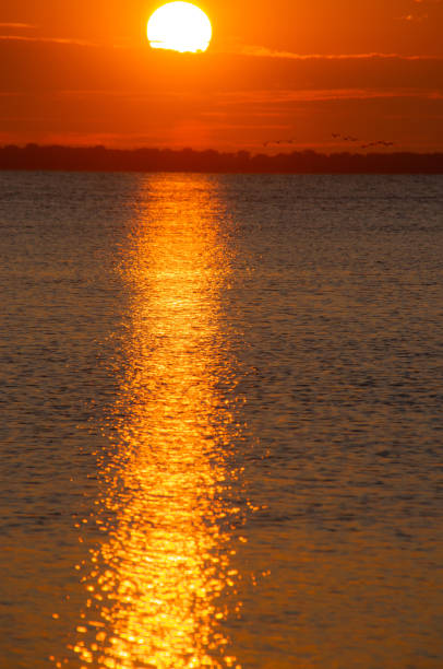 istock Sun and seagulls over Lake Ontario 1447702007
