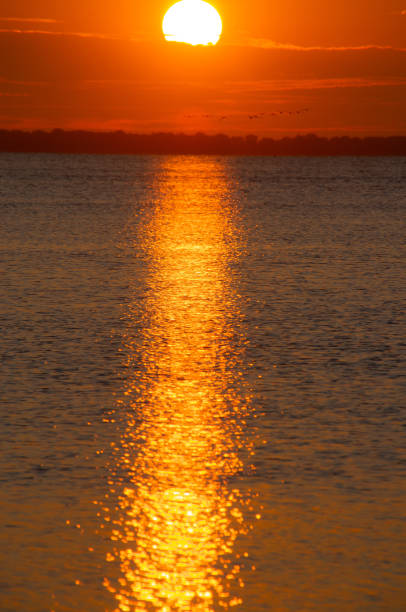 istock Sun and seagulls over Lake Ontario 1447702091