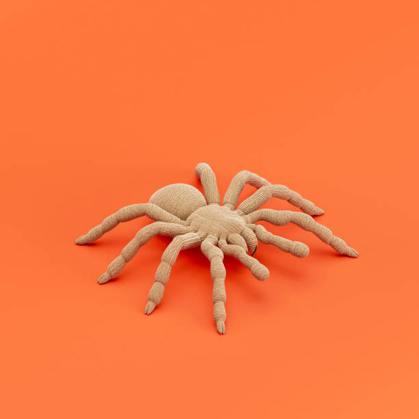 istock Tarantula doll, stuffed insect made of cloth, single varmint from isometric view, handmade bug, 3d rendering 1447702095