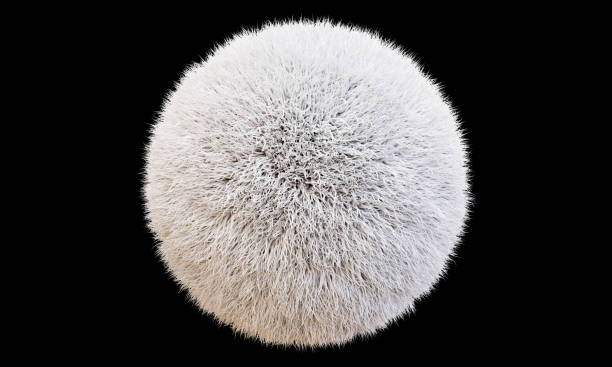 istock White color Pom Pom  Isolated Black background with clipping path. 1447703423