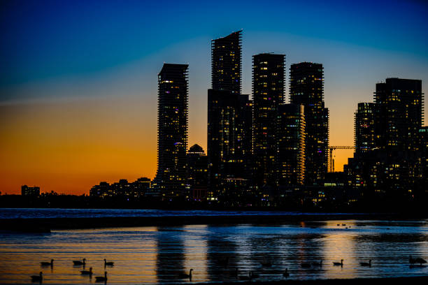 vista de la ciudad de toronto con el lago ontario y patos y edificios amarillos al atardecer - pier seven fotografías e imágenes de stock