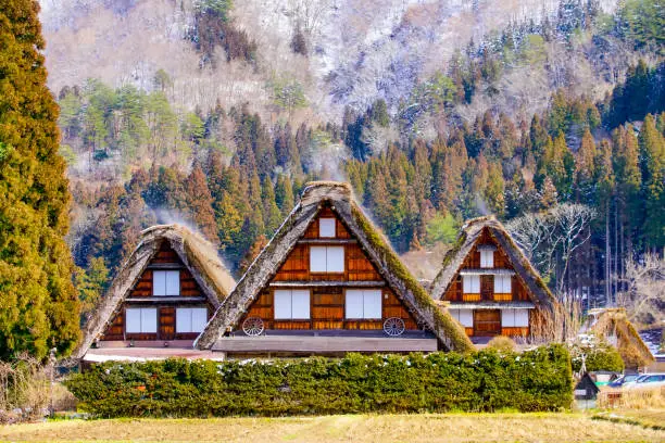 Three gassho-style houses in Shirakawa-go village, Gifu Japan