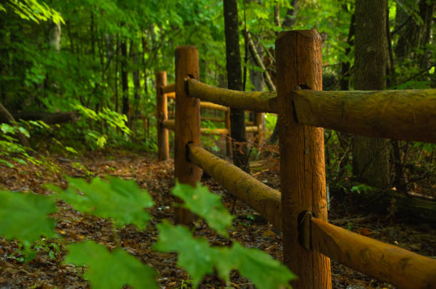 istock A wet trail with a fence 1447706320