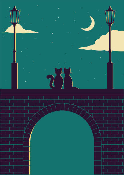 zwei katzen auf einer steinbrücke bei nacht - childrens literature stock-grafiken, -clipart, -cartoons und -symbole