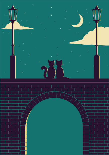 ilustraciones, imágenes clip art, dibujos animados e iconos de stock de dos gatos en un puente de piedra por la noche - childrens literature