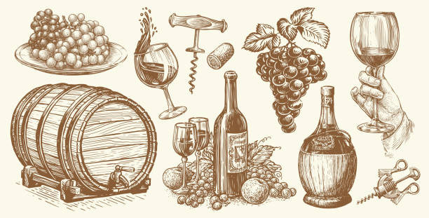 병 와인, 포도 나무, 나무 배럴, 코르크 마개, 다발 포도. 포도원 컨셉의 빈티지 세트. 와이너리 스케치 벡터 - cork wine corkscrew old stock illustrations