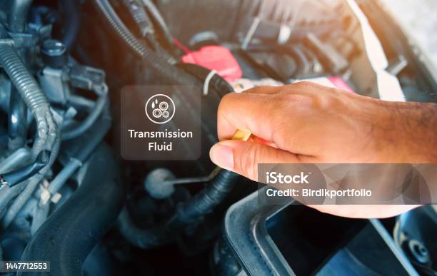 Check The Transmission Fluid Level And Gear Oil Deterioration By A Mechanic With Transparent Gear Oil Warning Symbols On Center Stock Photo - Download Image Now