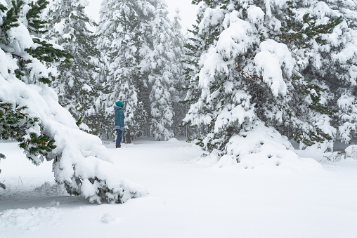 Young female hiker enjoying a winter day in a beautiful snowy forest.