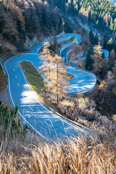 Hairpin road on Maloja Pass with larch trees in fall colors Hairpin bends in an alpine landscape, just below the summit of the Maloja Pass (Passo del Maloja) in Graubünden canton, Switzerland. maloja region stock pictures, royalty-free photos & images