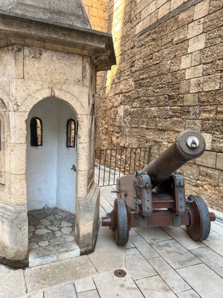 istock Historic cannon in Palma Mallorca 1447716945