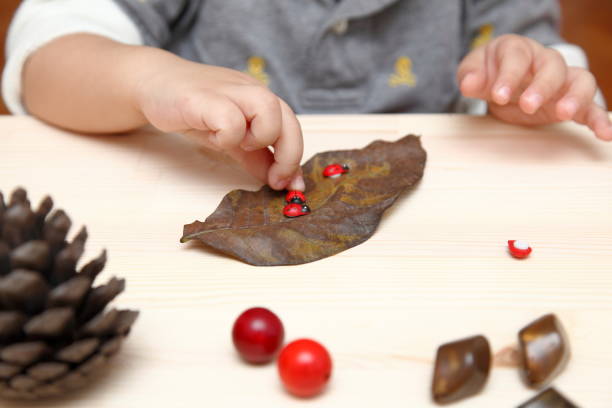 istock children's education period 1447728401