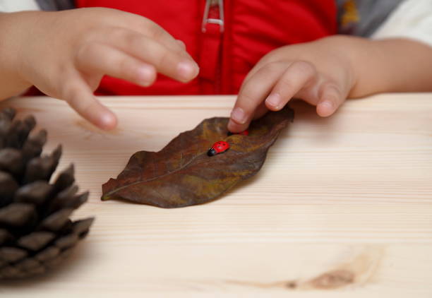 istock children's education period 1447728422
