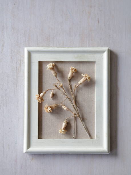 istock an old frame turned into a decorative object with dried flowers 1447729807