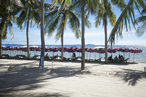 Relaxing thai people in lounger chairs on Bang Saen beach in Chonburi. Captured from behind from promenade. Lounger chairs are behind palm trees
