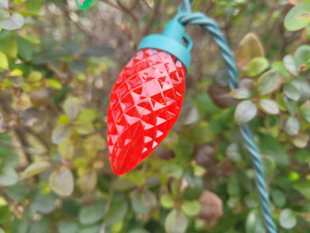 istock Christmas Lights Outdoors 1447733747