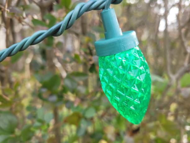 istock Christmas Lights Outdoors 1447733808