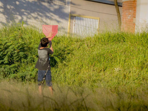 running boy flying a kite 
