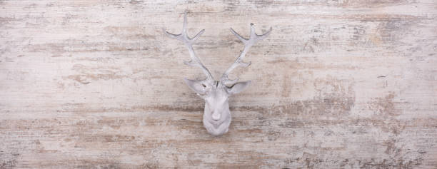 istock decorative white deer head on old white wooden background 1447734574
