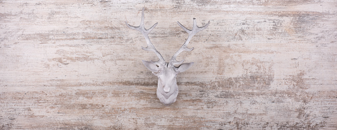 decorative white deer head on old white wooden background