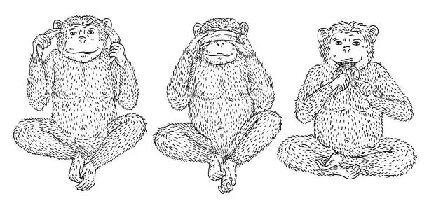 Vector illustration of Three wise monkeys. Not see, not hear, not speak. Vintage engraving