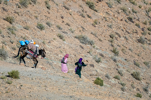 Tinghir, Atlas Mountains, Morocco - November 27, 2022 - Moroccan mountain village women walking for water with donkey and mule.
