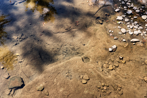 Tiny fish swim in the nearly dry Mountain Fork River. in the opposite side of the Natural Dam.