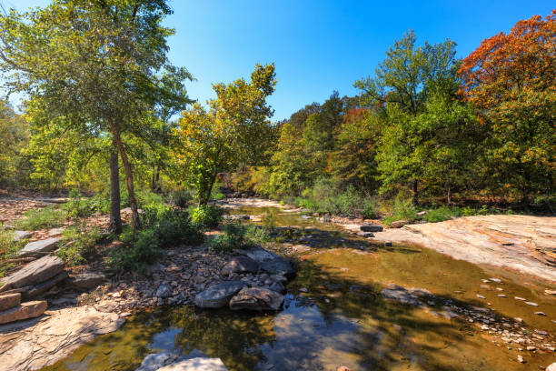 istock Natural Dam on the Mountain Fork River in Arkansas, USA 1447740608