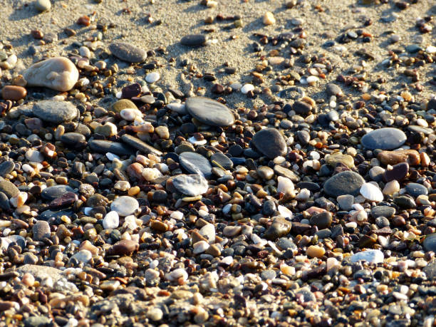 istock wet pebbles on the beach 1447742374