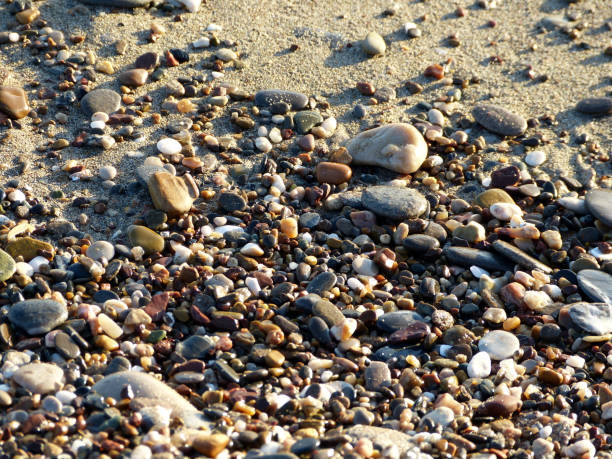 istock wet pebbles on the beach 1447742478