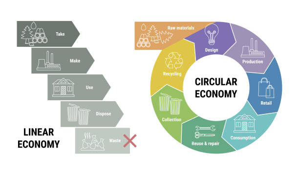 線形経済と循環経済のインフォグラフィックの比較。廃棄物の代わりに、原材料から生産、消費、リサイクルまでの製品ライフサイクルのスキーム。フラットラインベクターイラスト - round bale点のイラスト素材／クリップアート素材／マンガ素材／アイコン素材