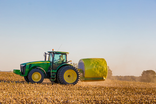 Rural Arkansas, USA - October 1, 2022:  A John Deere tractor picks up cotton bails from the harvesters  and carries them away to be stacked with other bails in the field.