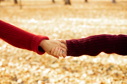 Cropped photo of family of mother and daughter wearing red sweaters, stretching holding hands among yellow fallen maple leaves in park forest in autumn. Relationship, motherhood, childhood, support.