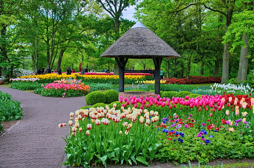 Well with colorful tulips in Keukenhof Park, Lisse in Holland.