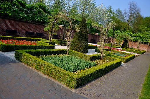 Garden with small bushes in Keukenhof park in Holland