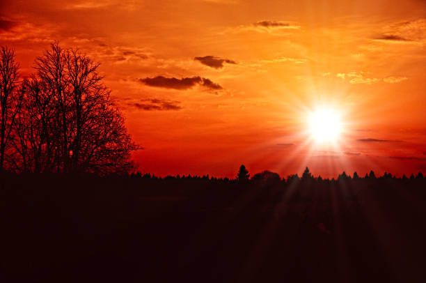 istock Beautiful mystic red sunset over the forest 1447762823