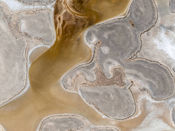 istock Natural shapes and textures on lake 1447765354