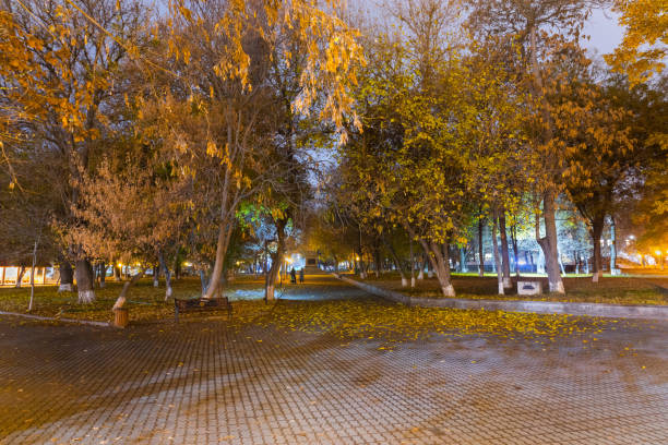 istock People walk in a beautiful park 1447765484