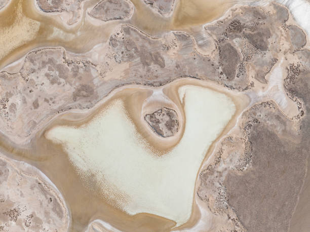 istock Natural shapes and textures on lake 1447765660