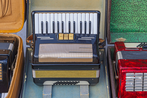 Piano Accordion Musical Instrument in Case at Flea Market