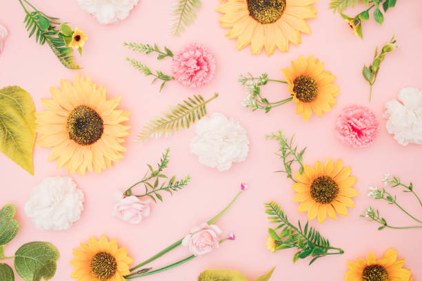 istock Arranged colorful flowers on a pink background. 1447769054