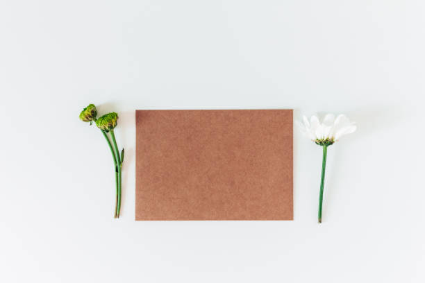 istock Brown recycle cardboard envelope on the white background. Craft paper empty envelope template, mock up. Top view 1447770458