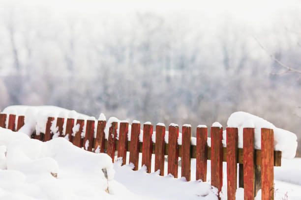 istock Snow on fence. Winter background. Copyspace. Weather. Climate 1447770528